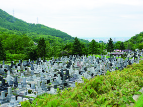 手稲平和霊園の墓　通常区画全体