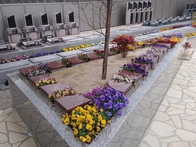 セミタリーパーク寺家　樹花のその他イメージ