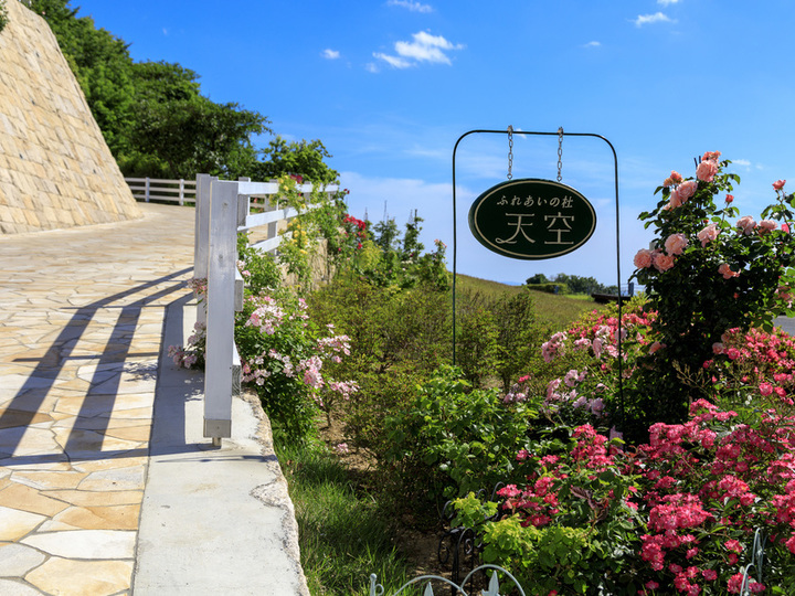 ふれあいの杜　天空の入り口