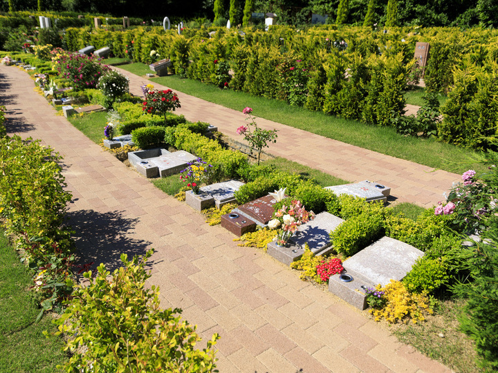 ふれあいの杜　天空の墓その他イメージ