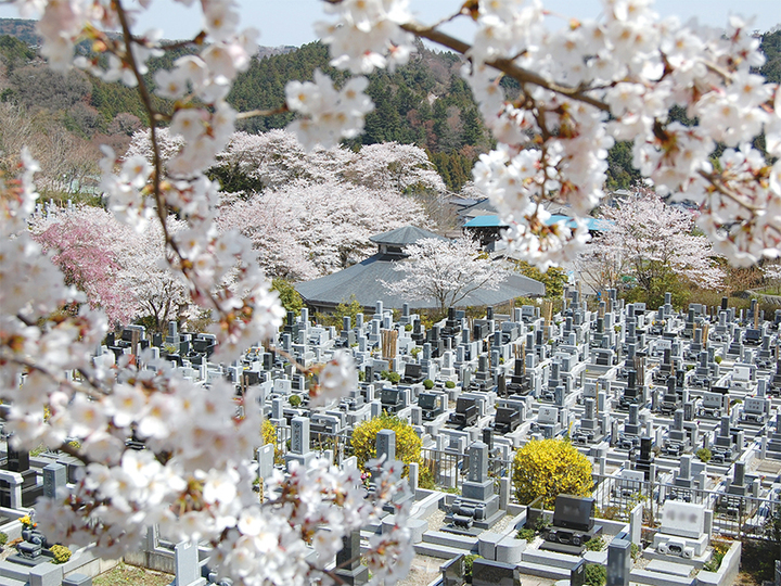 多摩聖地霊園の全体写真