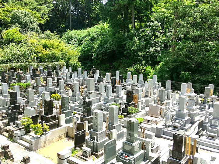今泉山　称名寺のその他イメージ