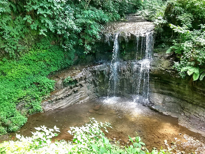 今泉山　称名寺のその他イメージ