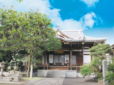 法光山　蓮昌寺の外観