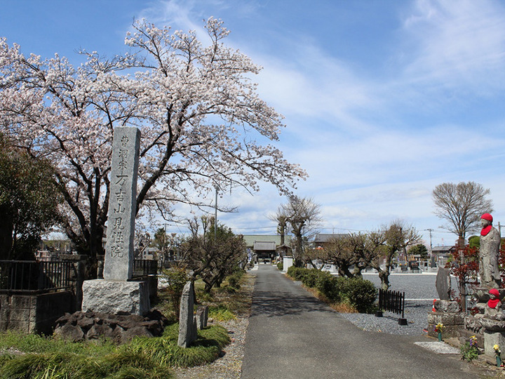 見性院の樹木葬（埼玉県熊谷市の霊園・寺院） │ 【OHAKOおはこ】納骨先・墓地・霊園探しなら