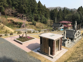 安養寺のその他イメージ