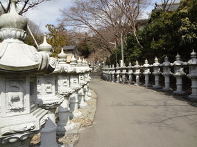 慈恩寺　境内墓地のその他イメージ