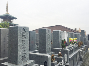 城山墓園の墓その他イメージ