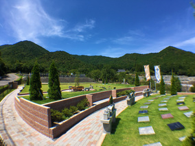 和田寺霊園の樹木葬その他イメージ
