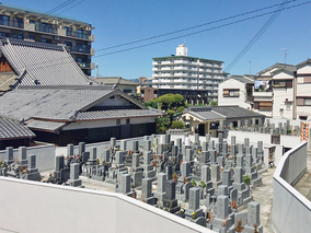 専稱寺　境内墓地の外観