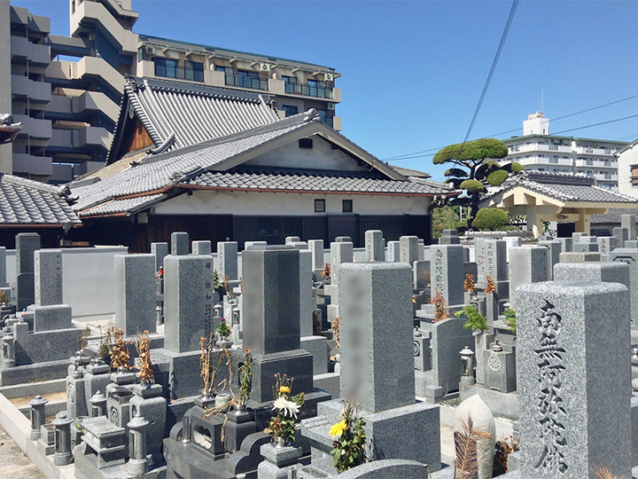 専稱寺　境内墓地の墓　通常区画全体