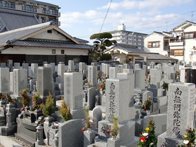 専稱寺　境内墓地の墓その他イメージ