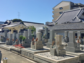 専稱寺　境内墓地の墓その他イメージ