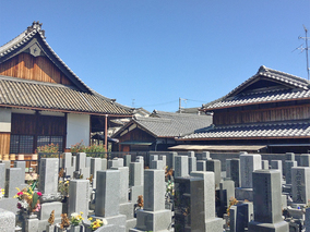 専稱寺　境内墓地の墓その他イメージ