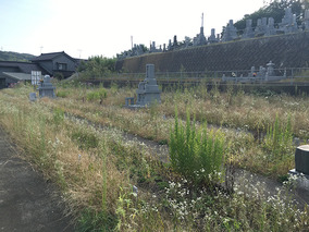 吉祥寺　新東墓地の全体写真