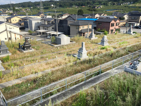 吉祥寺　新東墓地の墓　通常区画全体
