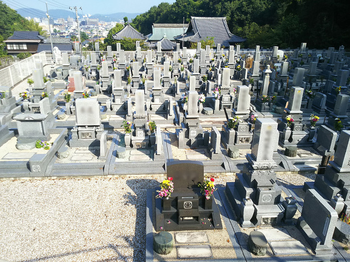 安住院みかい霊園の全体写真