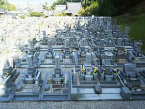 安住院みかい霊園のその他イメージ