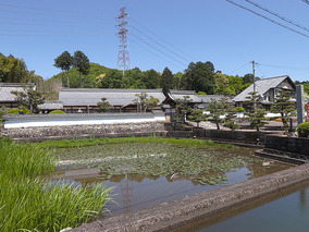 圓福寺のその他イメージ