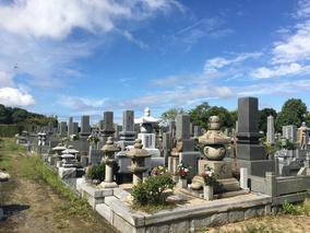 今治市営　大谷墓園墓地の全体写真