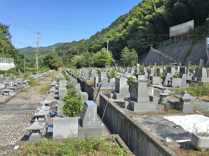 松山市営　横谷霊園の全体写真