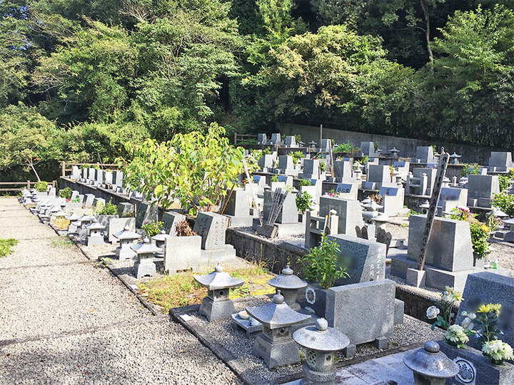 松山市営　横谷霊園の墓　通常区画全体