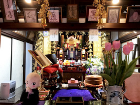妙行寺の本堂