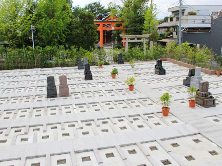 グリーンパーク新宿の全体写真