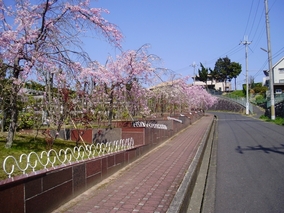 太子霊園のその他イメージ