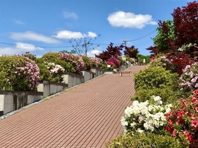 太子霊園のその他イメージ
