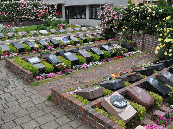 花小金井ふれあいパークのその他イメージ