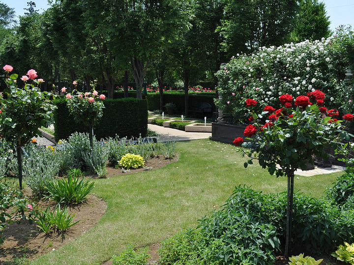 花小金井ふれあいパークのその他イメージ