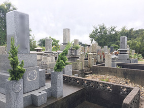 下関市営　東部墓地の墓　通常区画全体