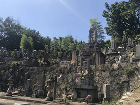 呉市営　坪内墓地の全体写真