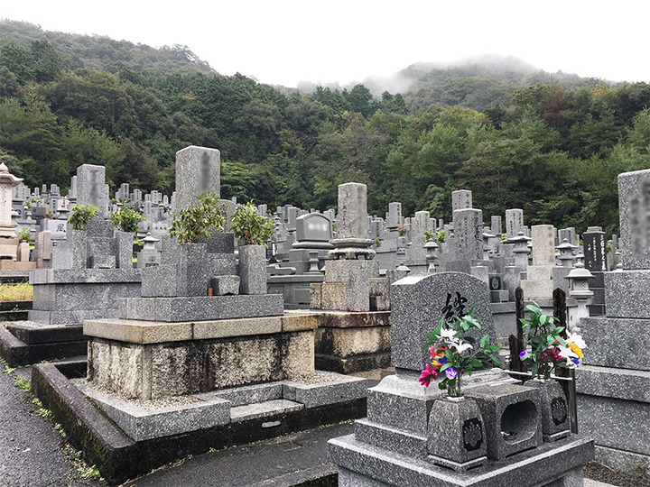 山口市営　御堀霊園の全体写真