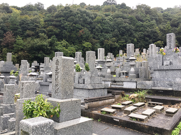 山口市営　御堀霊園の墓　通常区画全体