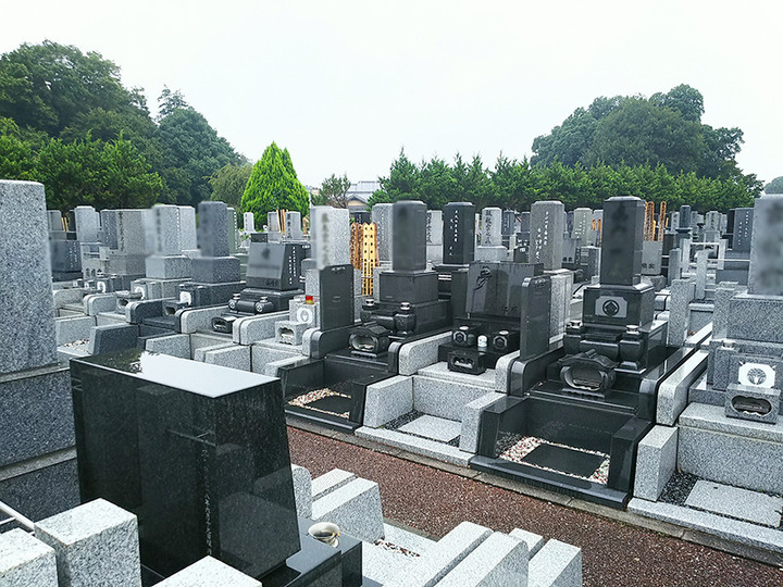 利休メモリアルパークの全体写真