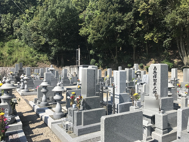 洞雲寺の全体写真