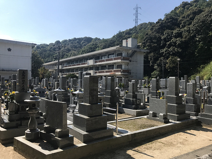 洞雲寺のその他イメージ