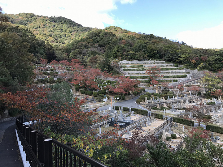 芦屋市営　芦屋市霊園墓地の全体写真