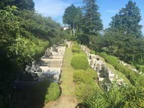 小田原市営　久野霊園の全体写真