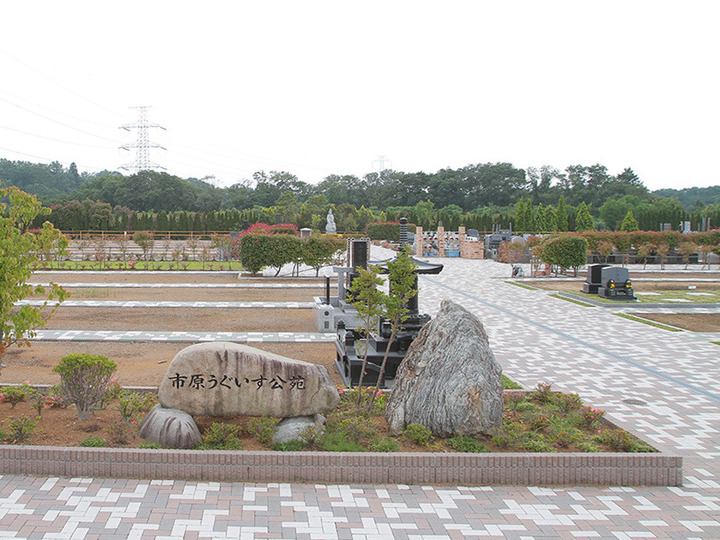市原うぐいす公苑の全体写真