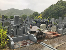 三田市霊苑の墓　通常区画全体