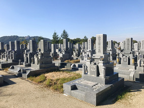 富田林市営　富田林霊園の全体写真