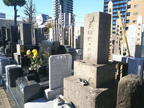 赤羽岩淵浄苑の外観