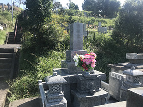 鹿屋市営　緑山墓地の墓その他イメージ