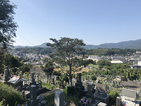 鹿屋市営　緑山墓地の墓その他イメージ