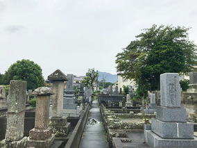 別府市営　野口原墓地の墓　通常区画全体