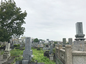 別府市営　野口原墓地の墓その他イメージ