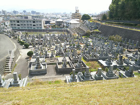 松山市営　客谷墓地の全体写真
